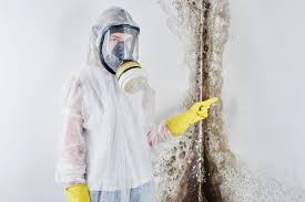 Best Comprehensive Air Testing for Mold Contaminants  in Anna, OH